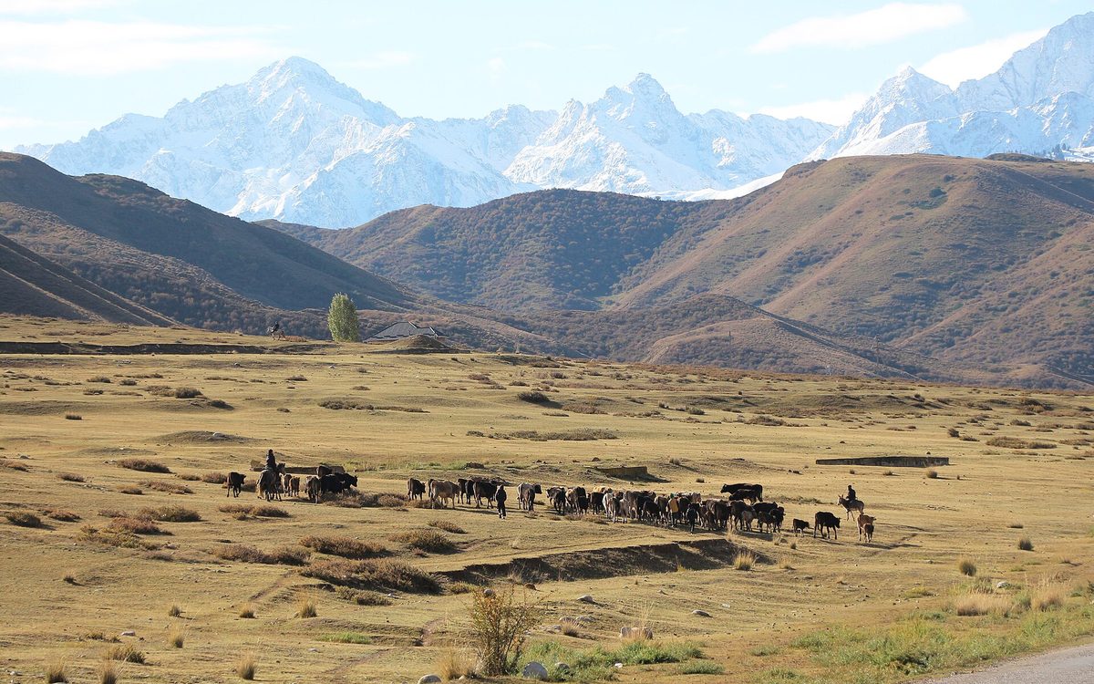 Tian Shan mountains near Karakol
